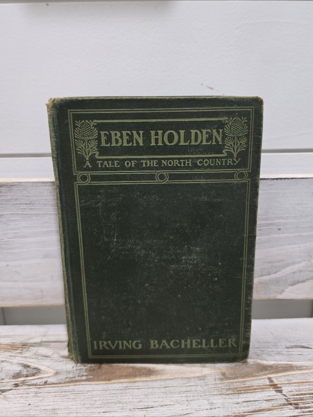 1900 Eben Holden By Irving Batcheller